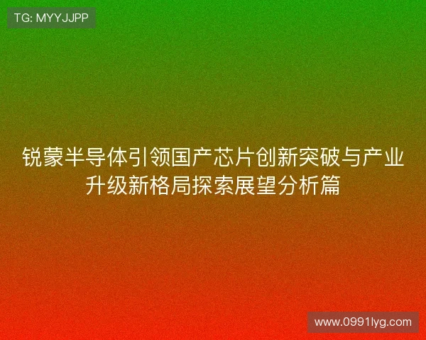 锐蒙半导体引领国产芯片创新突破与产业升级新格局探索展望分析篇 锐蒙半导体引领国产芯片创新突破与产业升级新格局探索展望分析篇