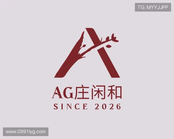 关于AG庄闲和